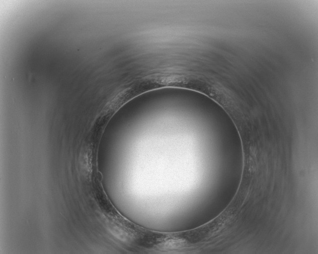 X0000060810210200511171317