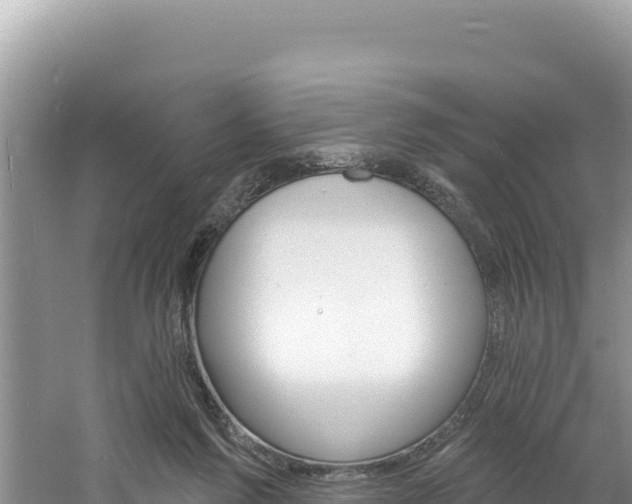 X0000060810213200511171317