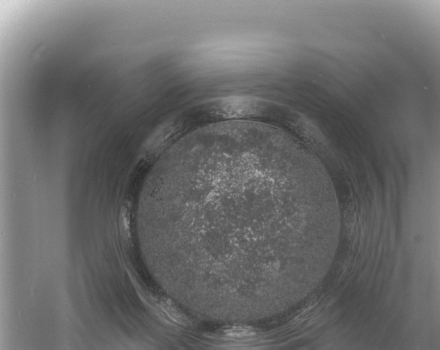 X0000060810214200511171317