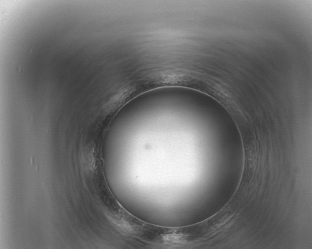 X0000060810216200511171317