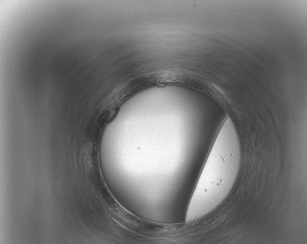 X0000060810217200511171317