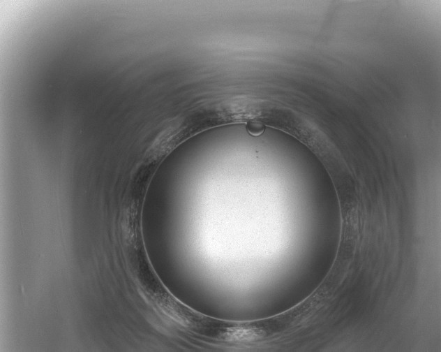 X0000060810218200511171317