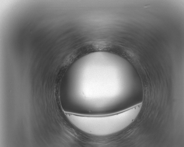 X0000060810221200511171317