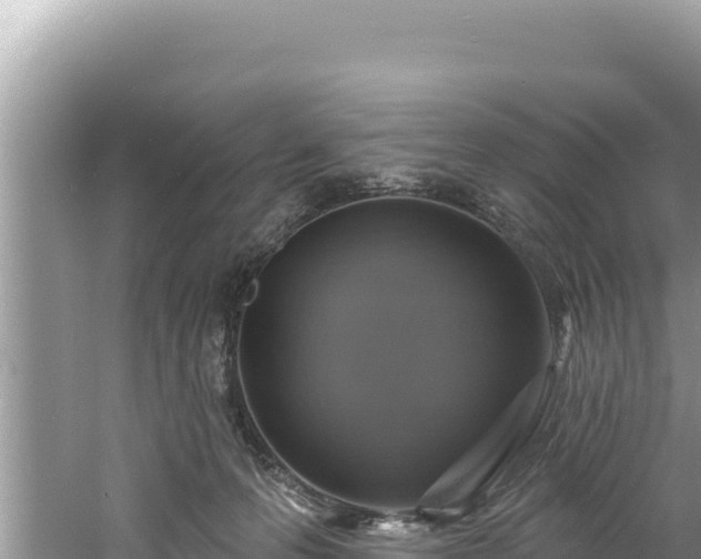 X0000060810223200511171317