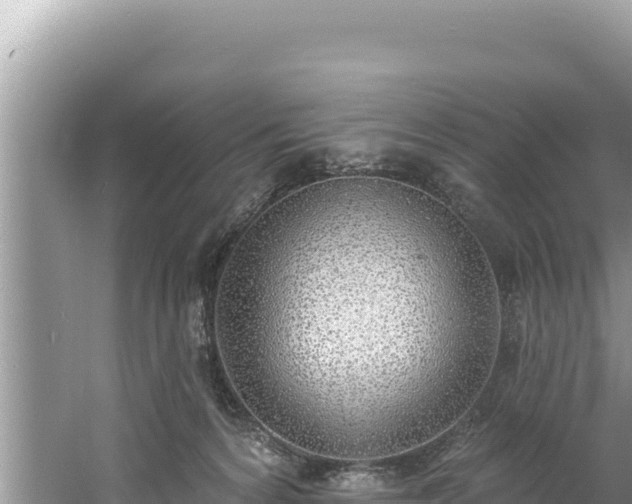 X0000060810224200511171317