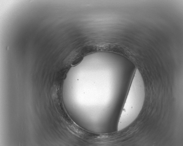 X0000060810225200511171317