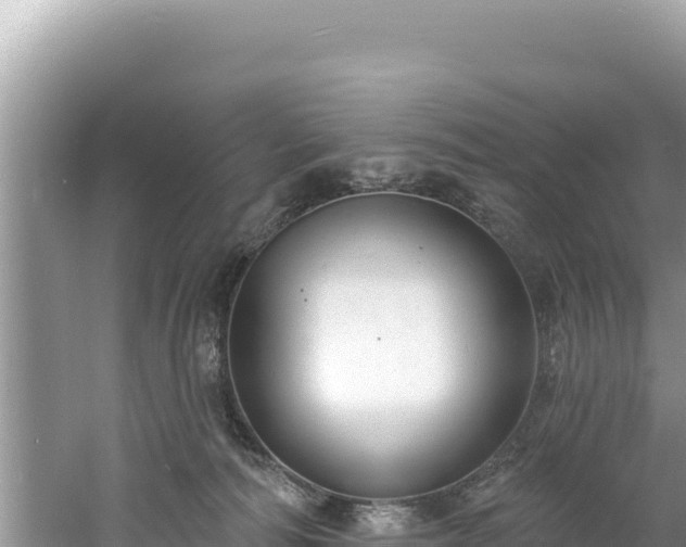 X0000060810226200511171317