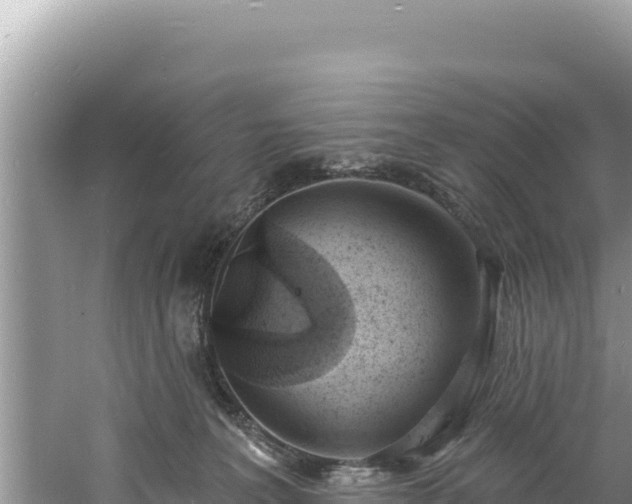 X0000060810227200511171317