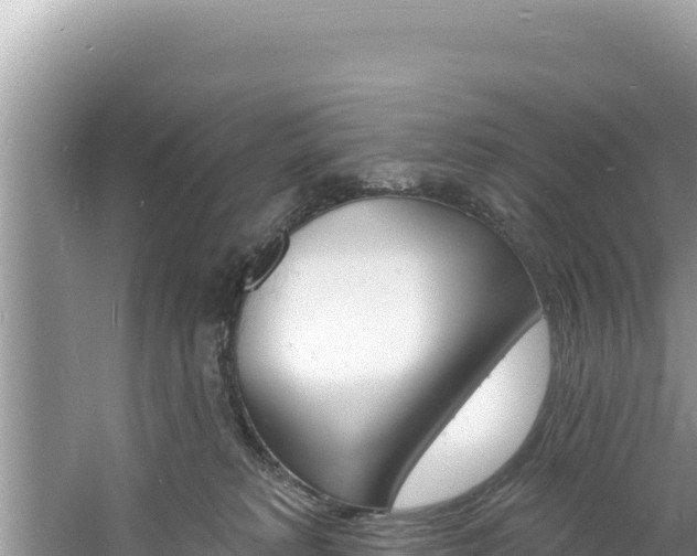 X0000060810229200511171317