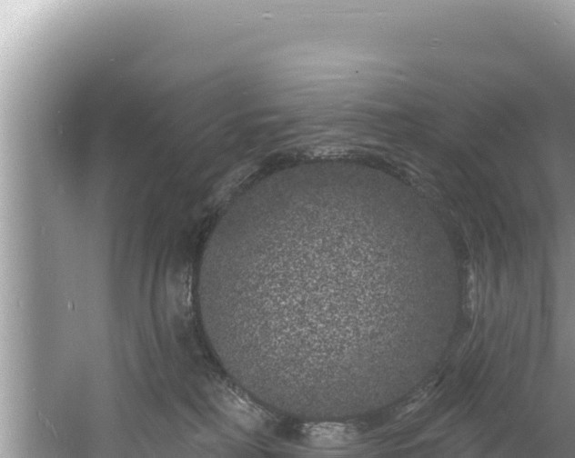 X0000060810230200511171317