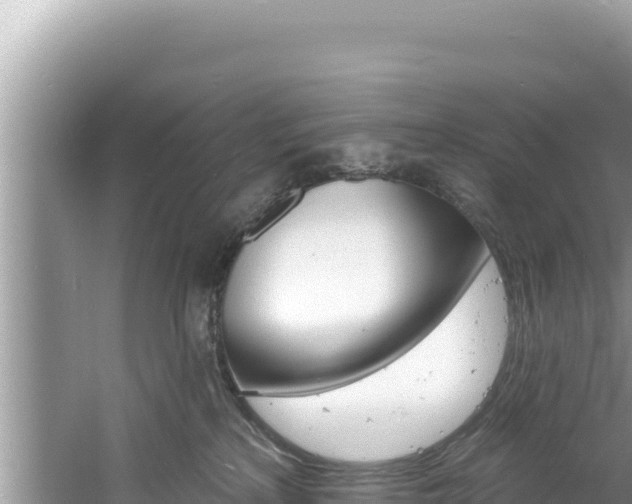 X0000060810233200511171317