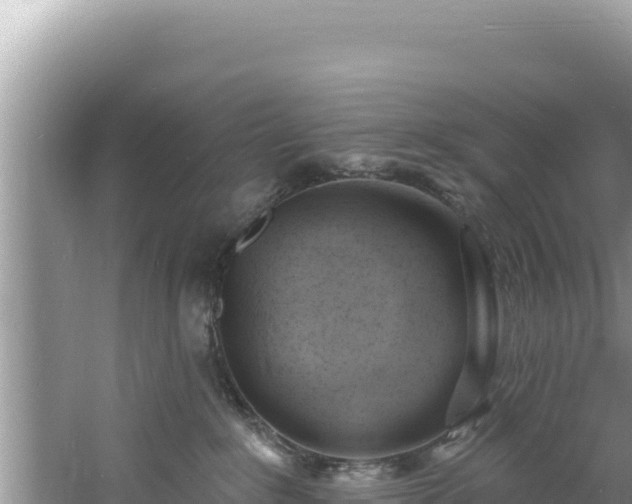 X0000060810235200511171317