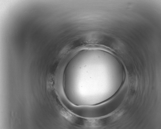 X0000060810237200511171316