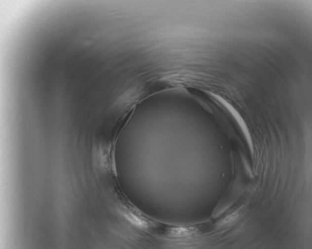 X0000060810239200511171316