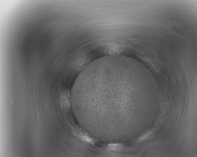 X0000060810240200511171316