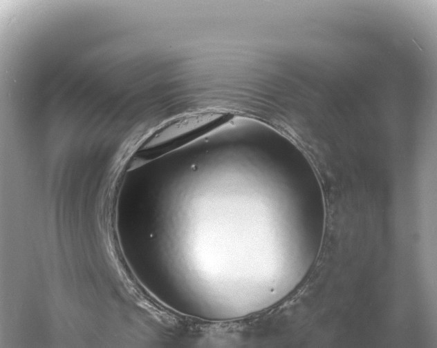 X0000060810241200511171316