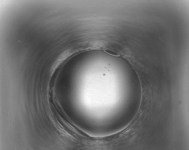 X0000060810242200511171316