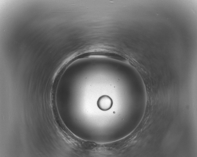 X0000060810244200511171316