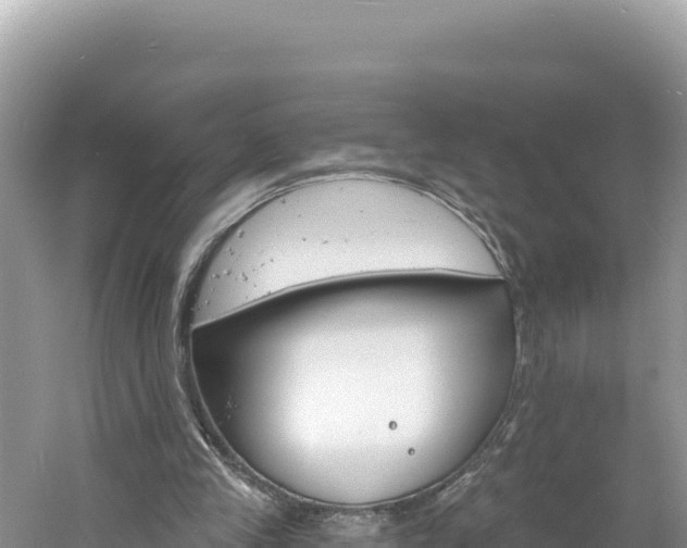 X0000060810245200511171316