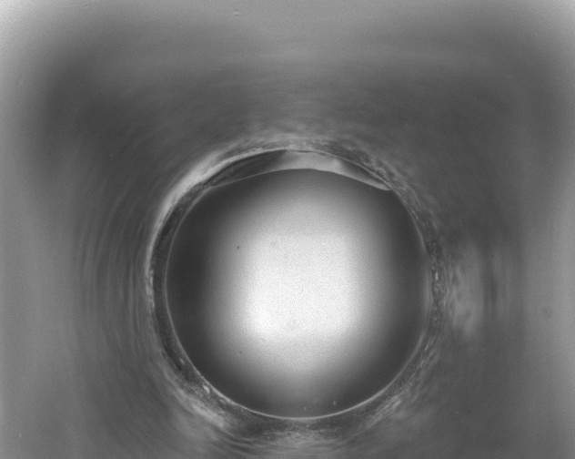 X0000060810246200511171316