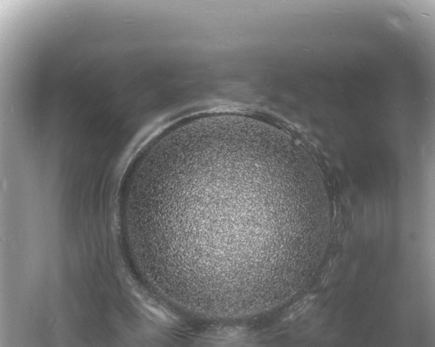 X0000060810247200511171316