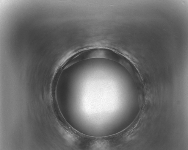 X0000060810248200511171316