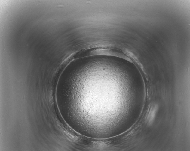 X0000060810249200511171316