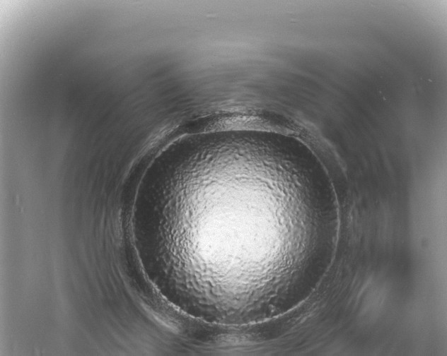 X0000060810250200511171316