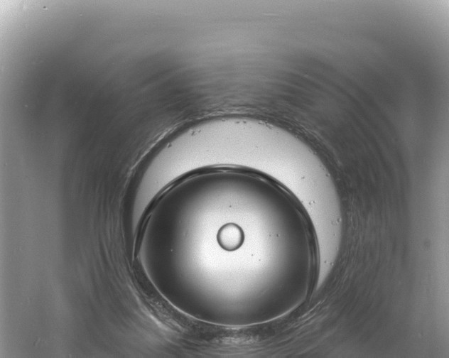 X0000060810251200511171316