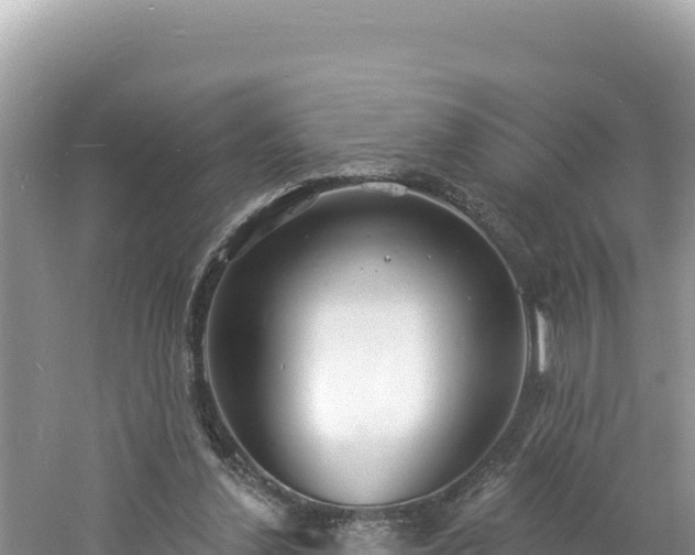 X0000060810252200511171316