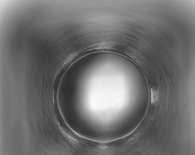 X0000060810253200511171316