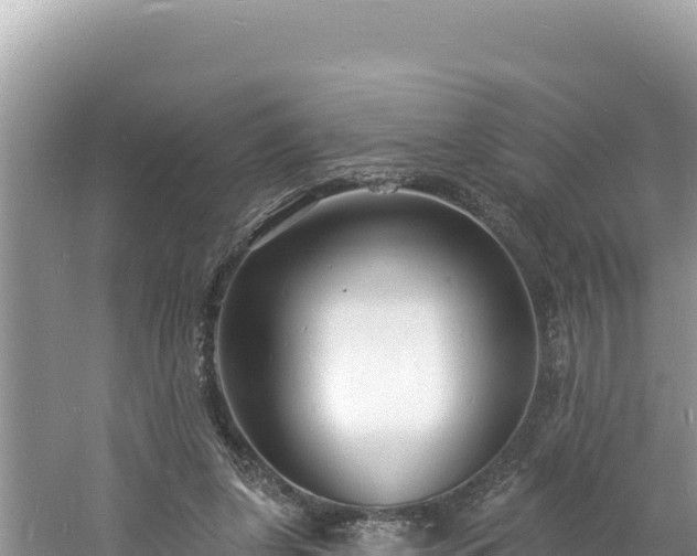 X0000060810255200511171316