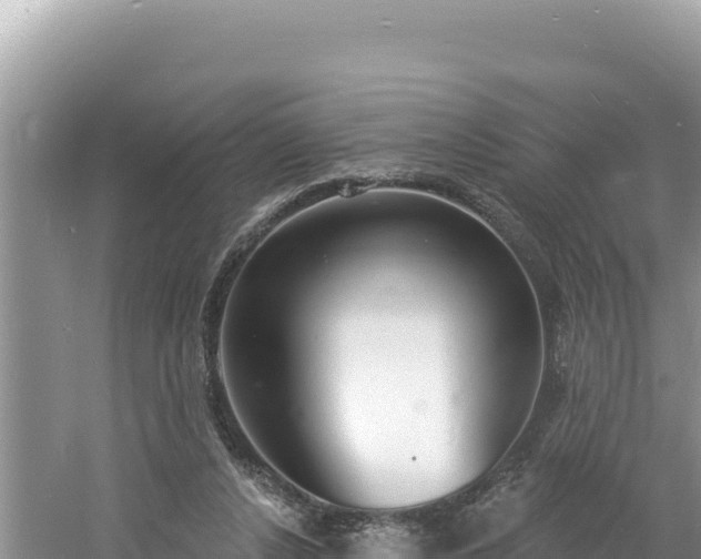 X0000060810256200511171316