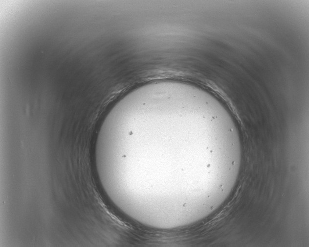 X0000060810257200511171316