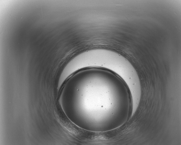 X0000060810262200511171316