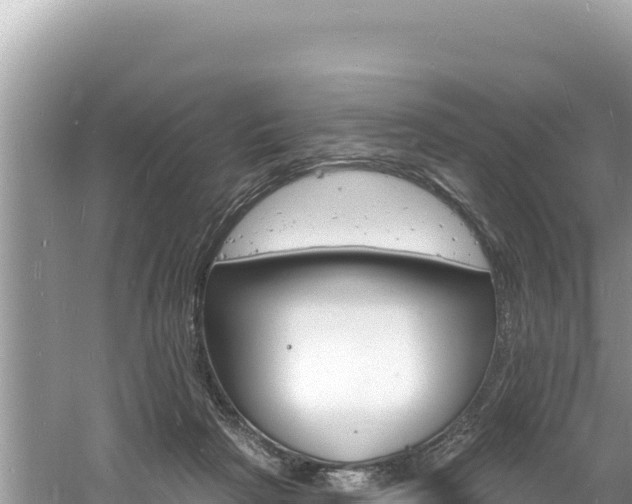 X0000060810265200511171316