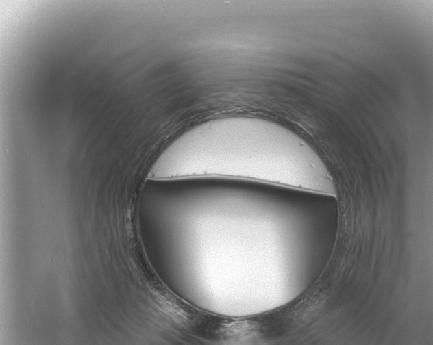 X0000060810269200511171316