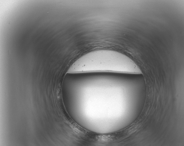 X0000060810273200511171316