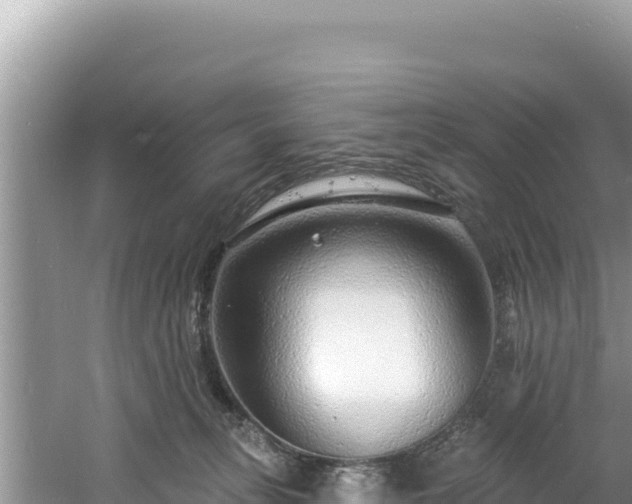 X0000060810275200511171316