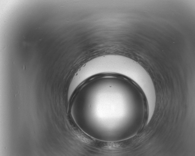 X0000060810278200511171316