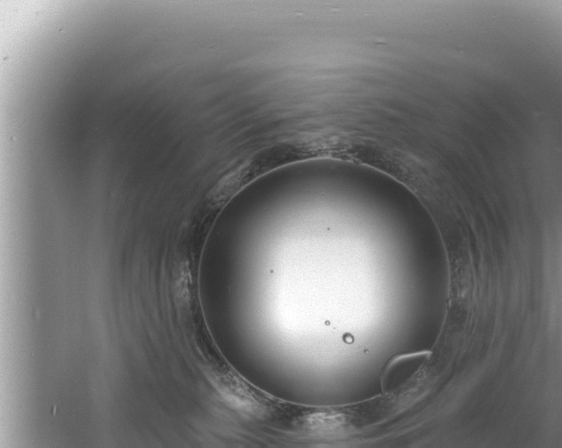 X0000060810279200511171316