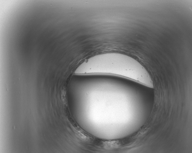 X0000060810281200511171316