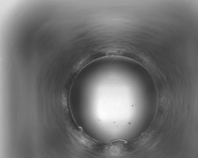 X0000060810282200511171316