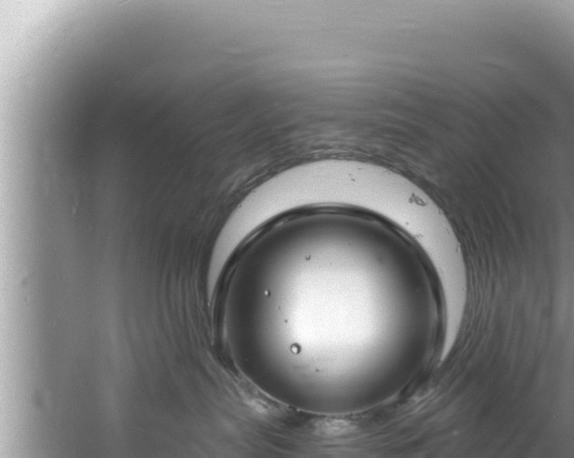 X0000060810287200511171316