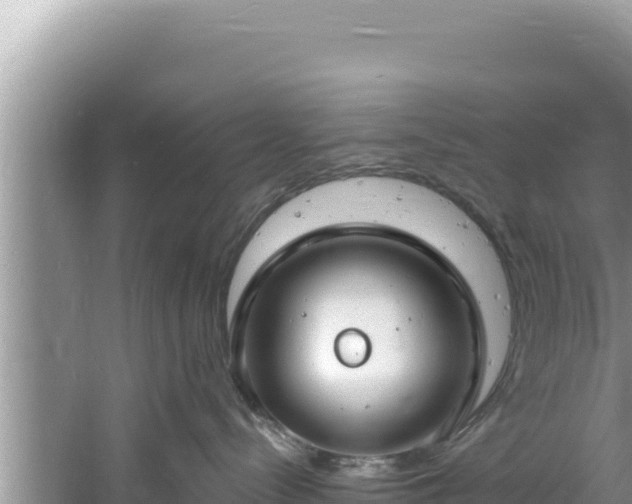 X0000060810288200511171316