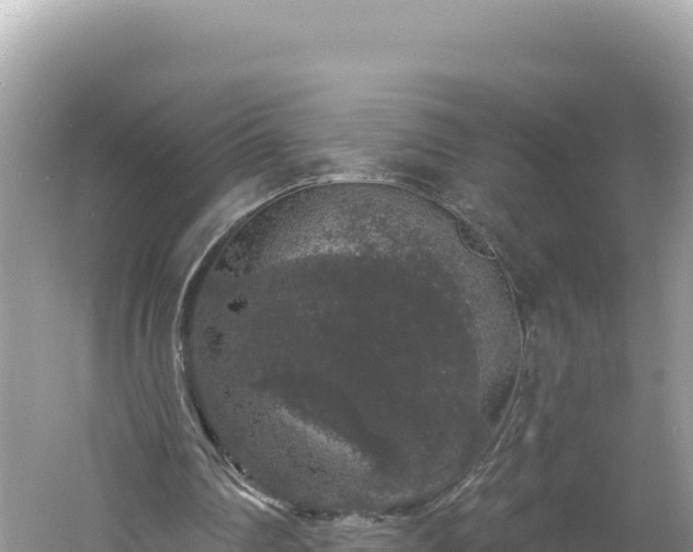 X0000060810290200511171316