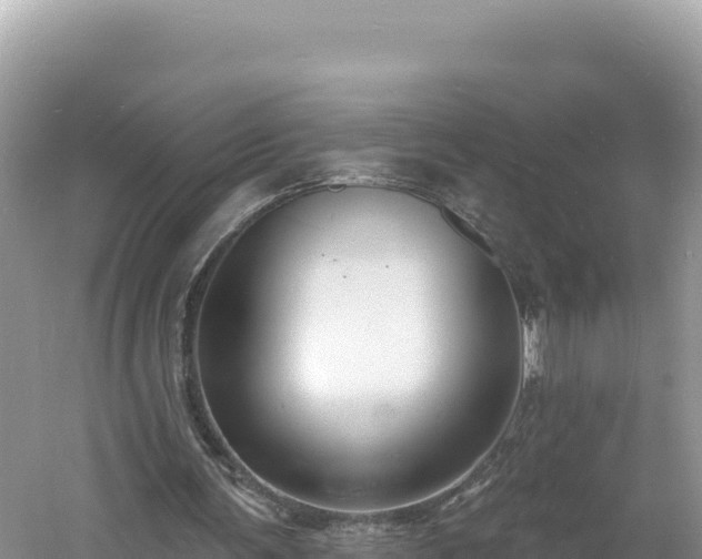 X0000060810291200511171316