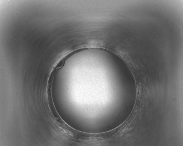 X0000060810292200511171316