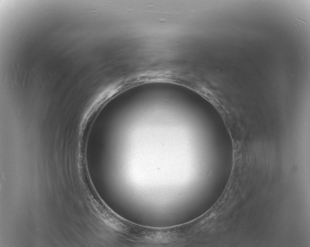 X0000060810293200511171316