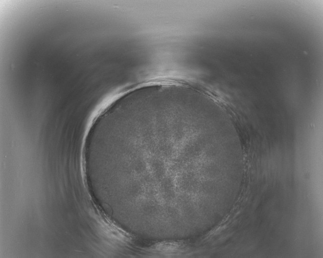 X0000060810294200511171316